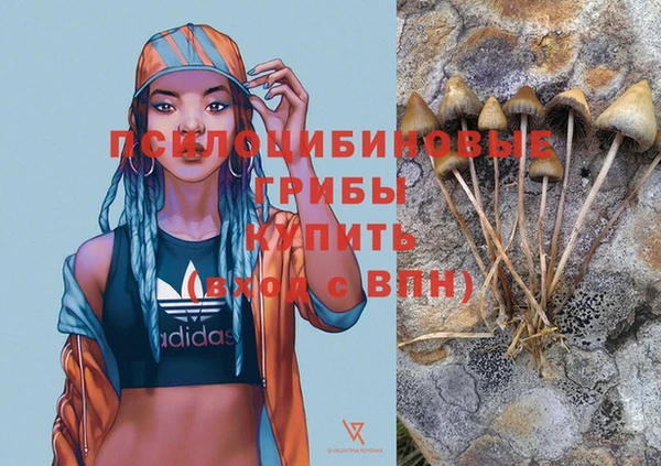 Альфа ПВП Куйбышев