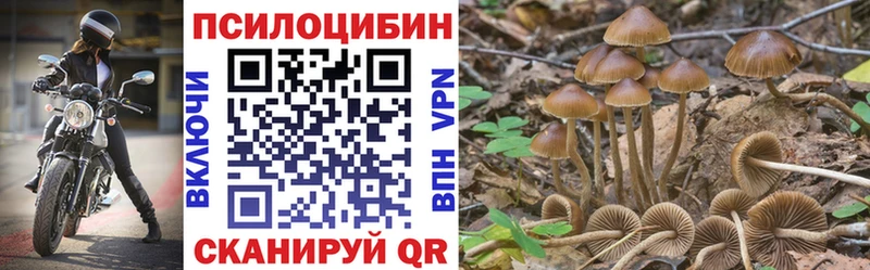 Купить Мураши Псилоцибиновые грибы GOLDEN TEACHER